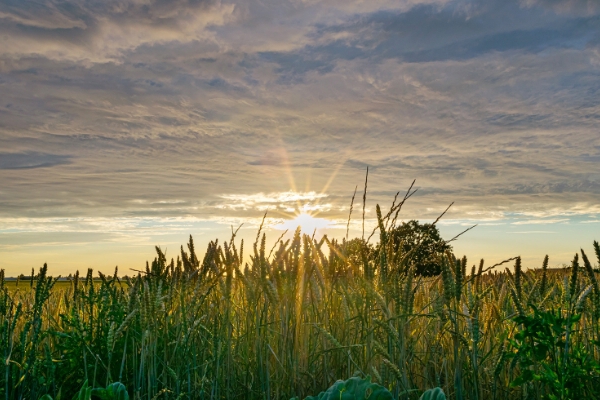 Zonsondergang