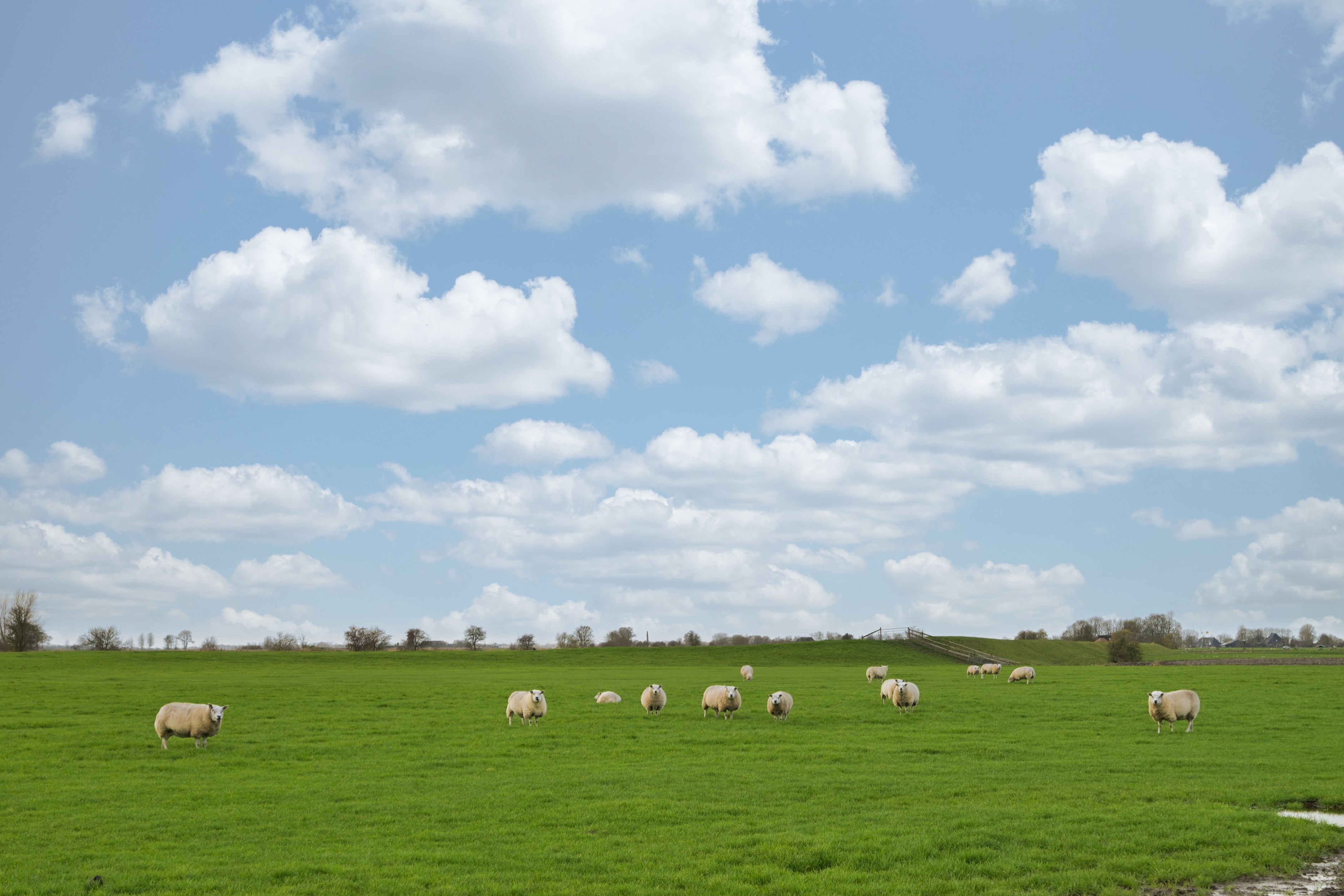 48 Medres Jaachpaad 7083