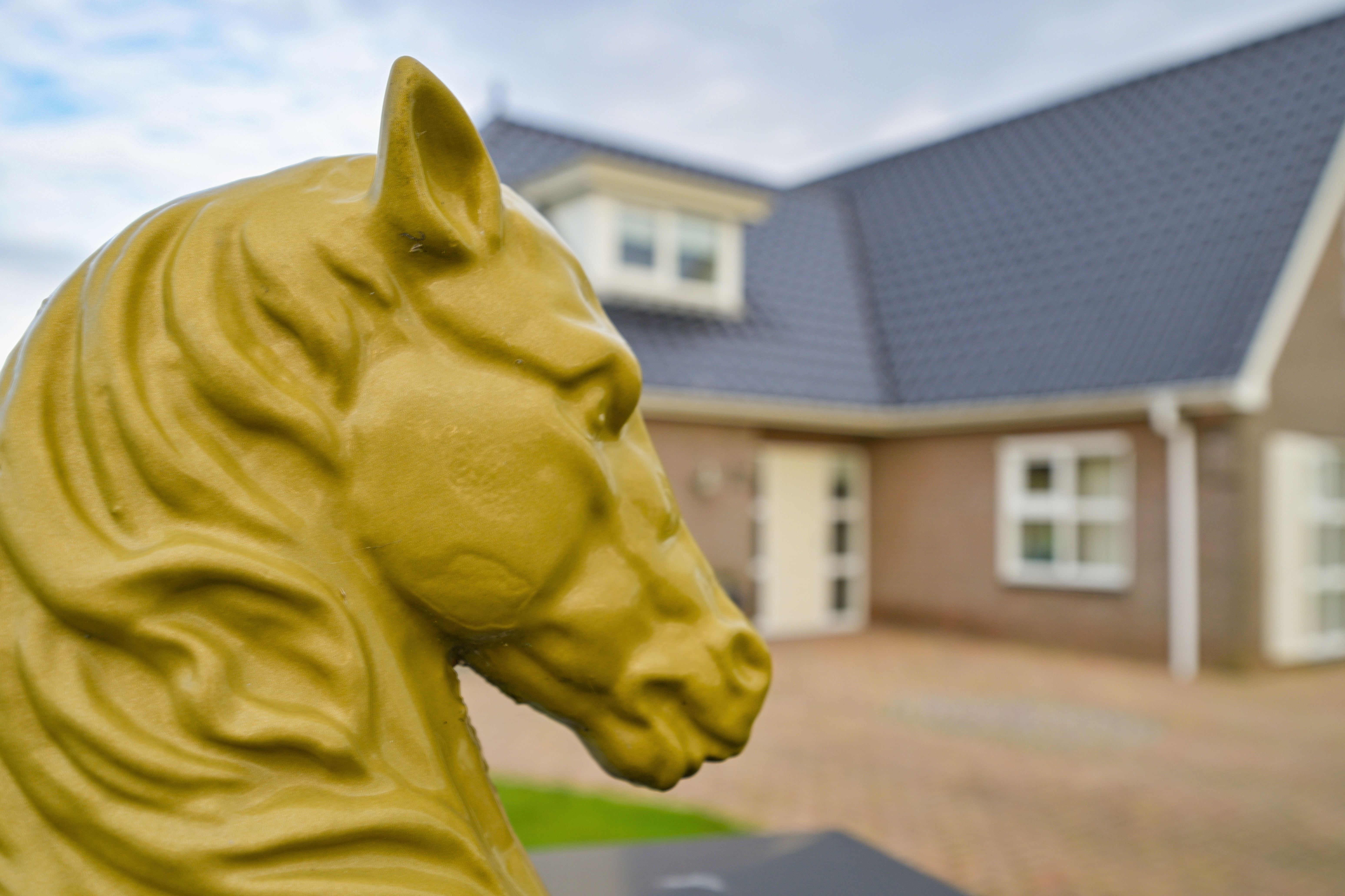 49 Medres Jaachpaad 7023