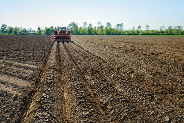 Trekker op grond