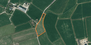 Maps Oranje Lijn