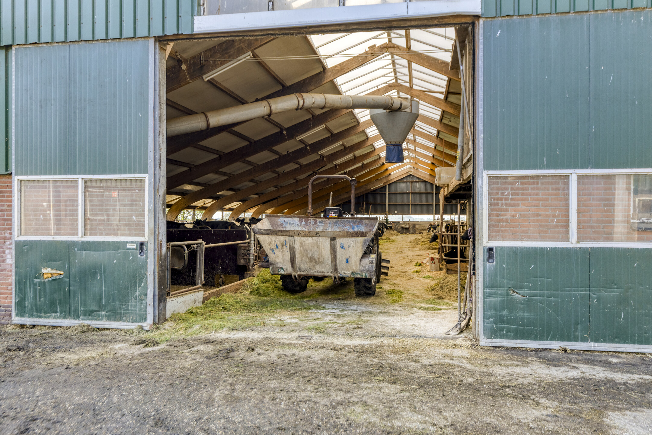 Strjitwei38522mntjerkgaastnl 44