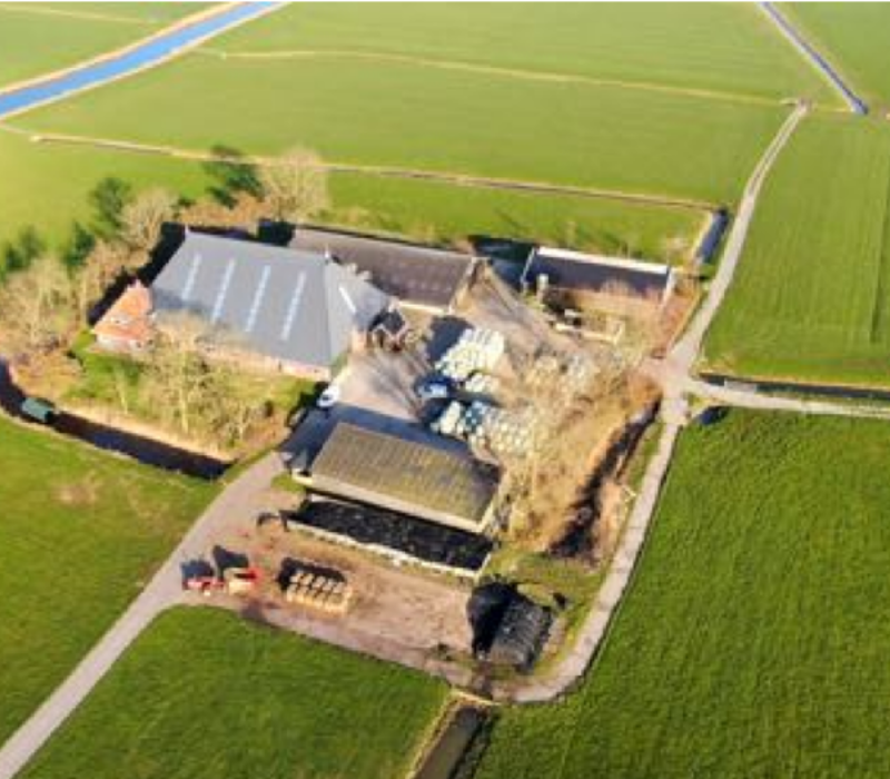 Aangekocht Wyns