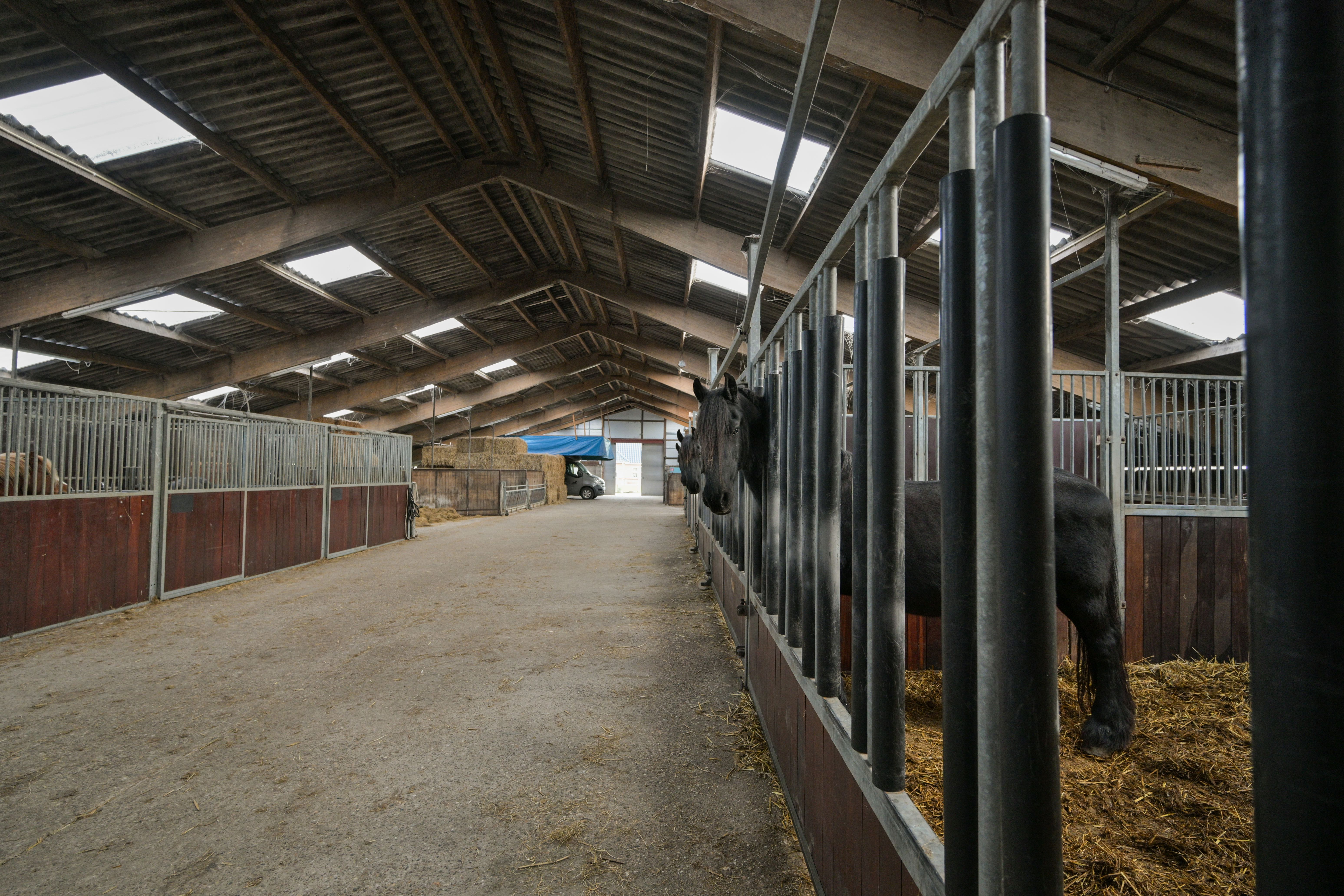 40 Medres Jaachpaad 7098