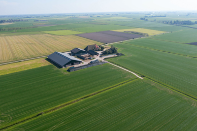 DJI 0702