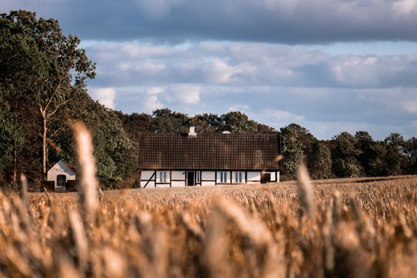 Boerderij in weiland